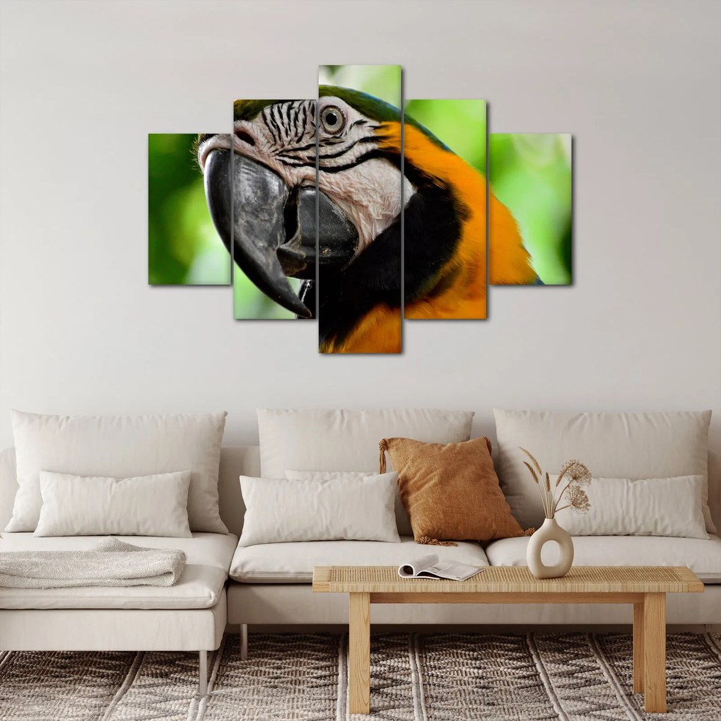 Tablou cu papagal (150x105 cm)