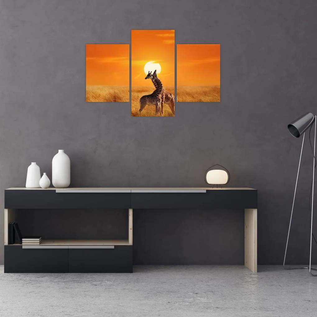 Tablou - Girafe în Parcul Național Serengeti (90x60 cm)