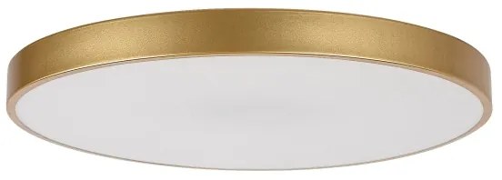 Rabalux 71038 -LED Plafonieră LED dimabilă TESIA LED/60W/230V 3000-6000K+telecomandă