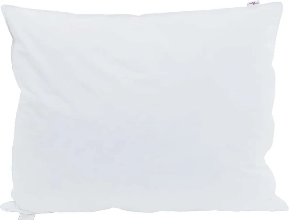 vidaXL Pernă cu pernă 2 pcs Alb 50 x 70 cm Pene