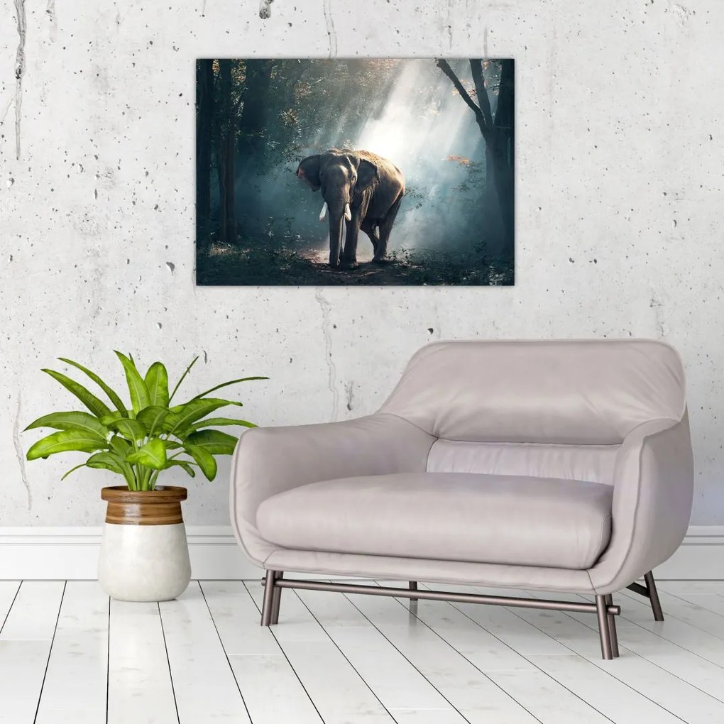 Tablou cu elefant în djunglă (70x50 cm)