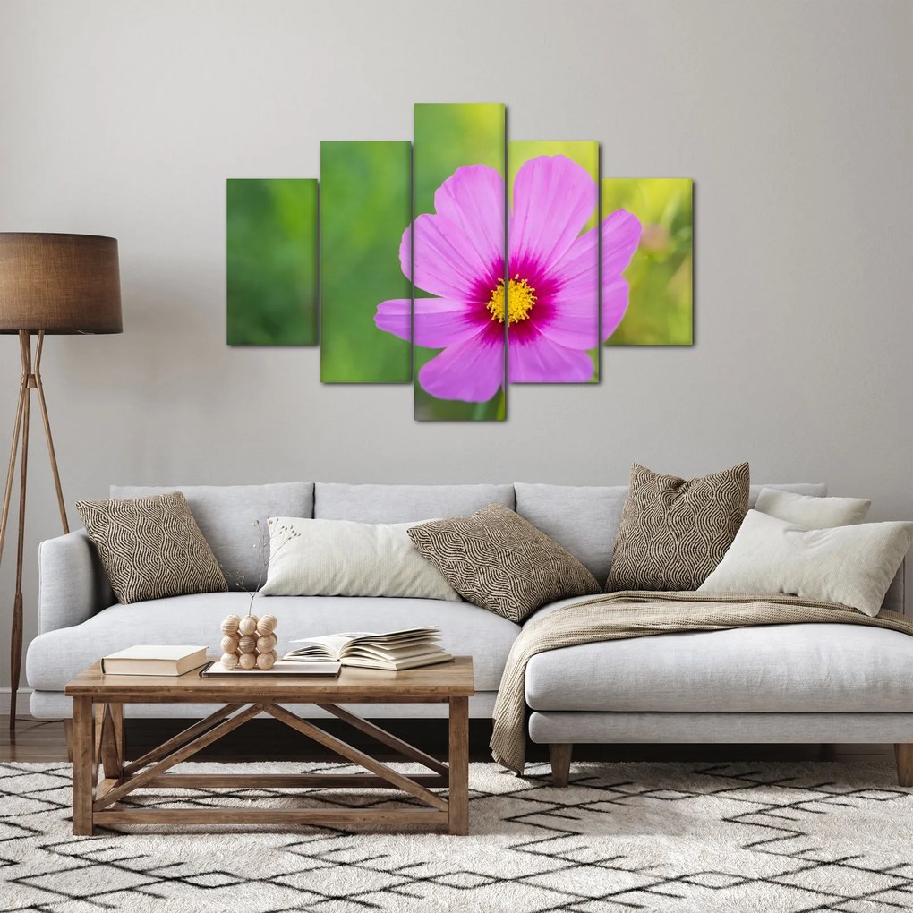 Tablou - floare de câmp (150x105 cm)
