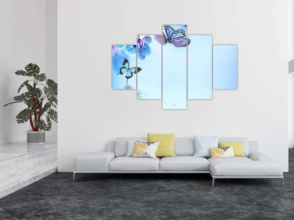 Tablou - Fluture pe flori de orhidee, albastru (150x105 cm)