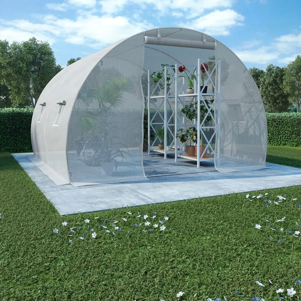 vidaXL Seră, 9 m², 300 x 300 x 200 cm