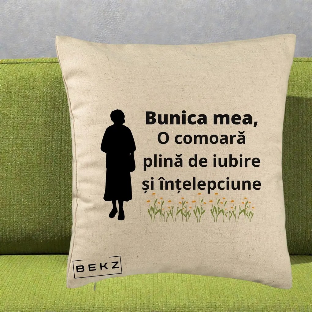 Cadou pentru Bunica - Perna Personalizata Bunica Mea Comoara Iubire Intelepciune Silueta cu Nepoata, 40x40 cm, Bej, Husa Detasabila, Perna Inclusa, BEKZ®