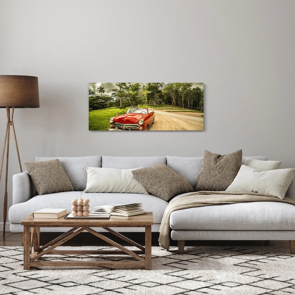 Tablou - mașina veteran în natură (120x50 cm)