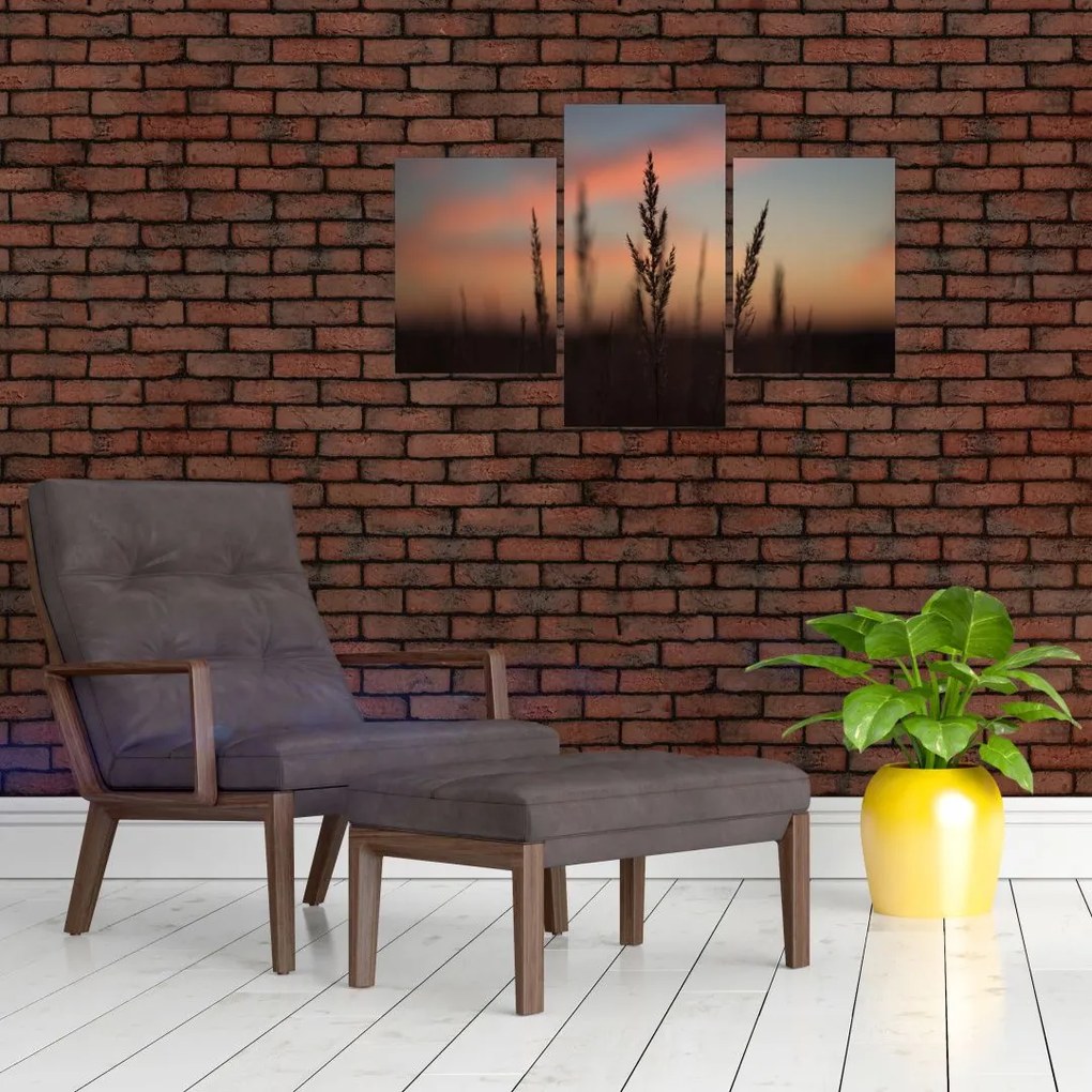 Tablou - Silueta plantei (90x60 cm)