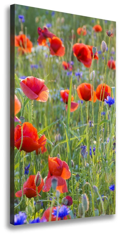 Print pe canvas Wildflowers maci