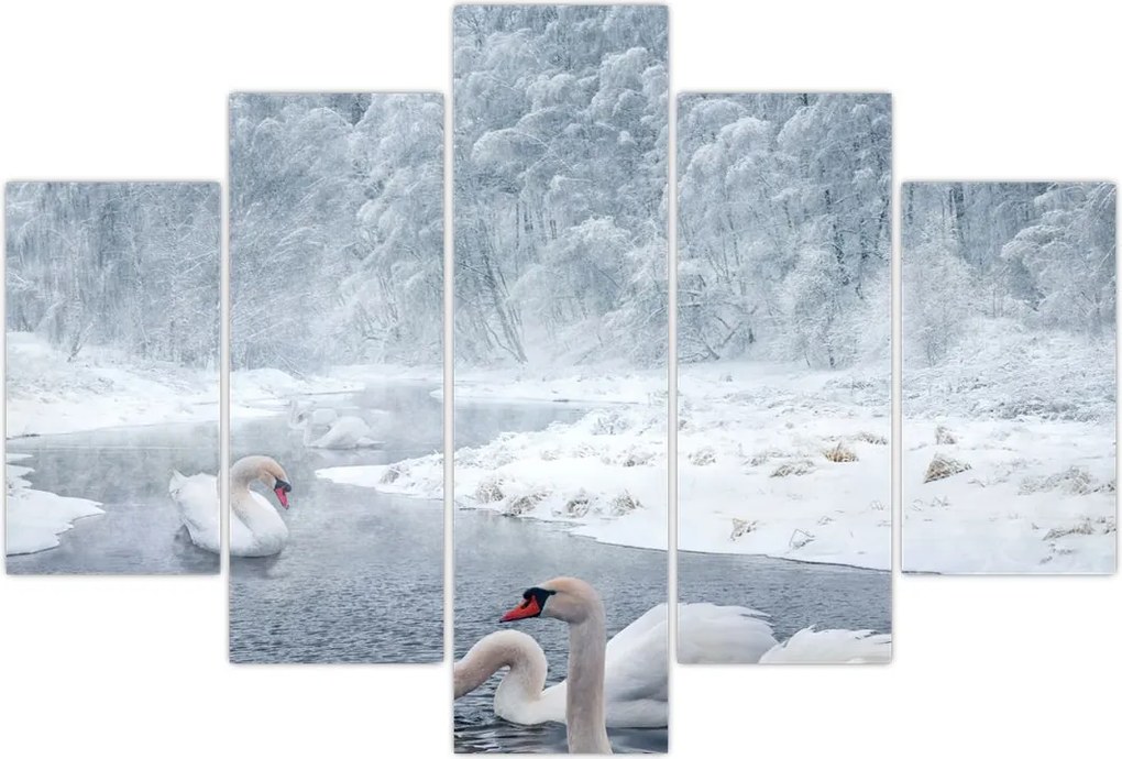 Tablou cu lebăde (150x105 cm)