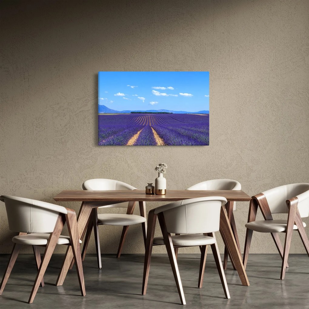 Tablou - Câmp de lavandă (90x60 cm)