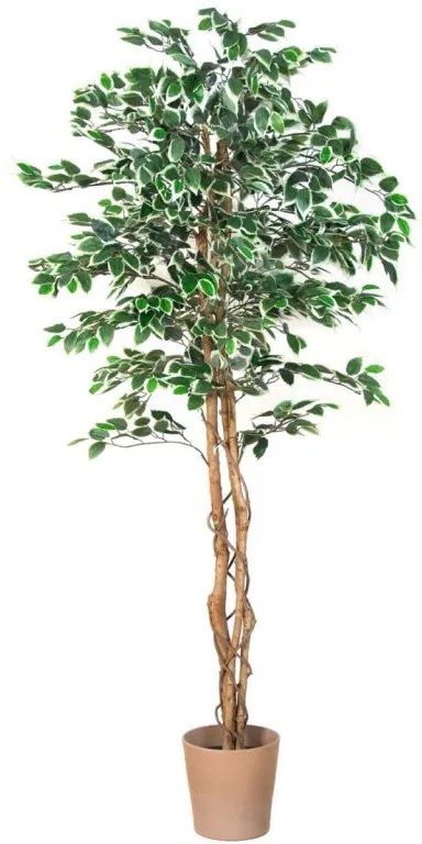 Floare artificială - ficus - 190 cm