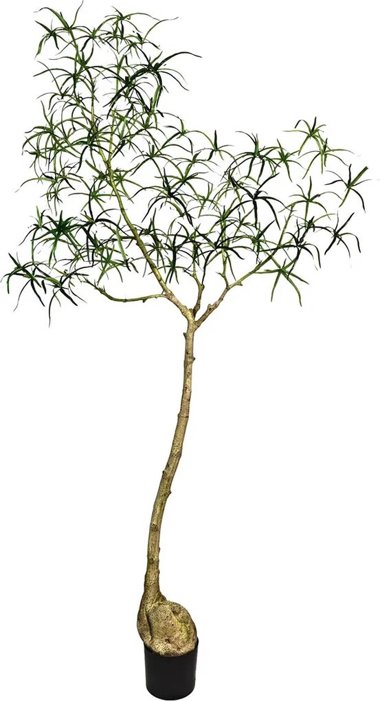 Copac artificial realist, model sticla Queensland, dimensiuni multiple - PotteryPots mărimea: L - ø 50 cm | înălțime 200 cm