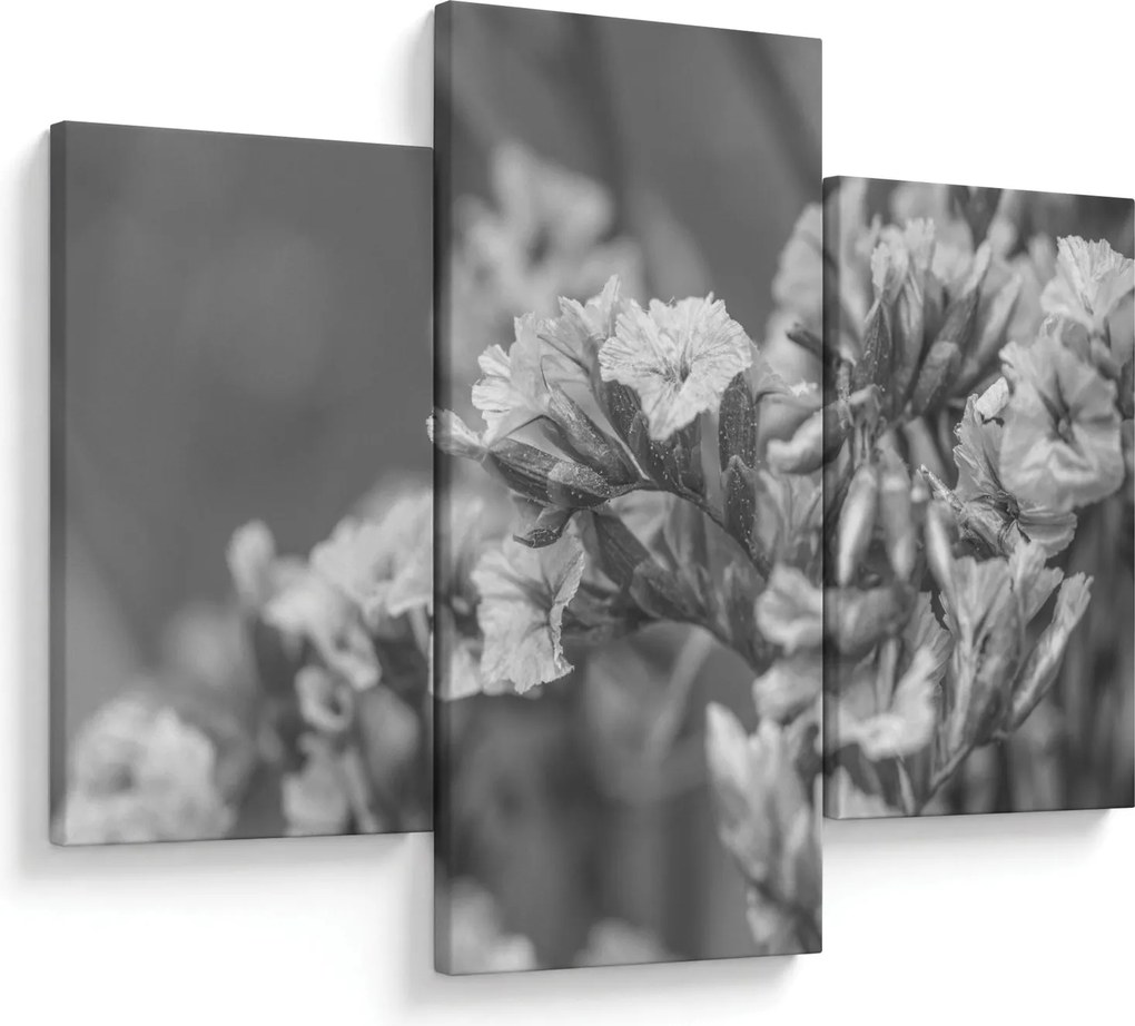 Tablou - Flori uscate (90x60 cm)
