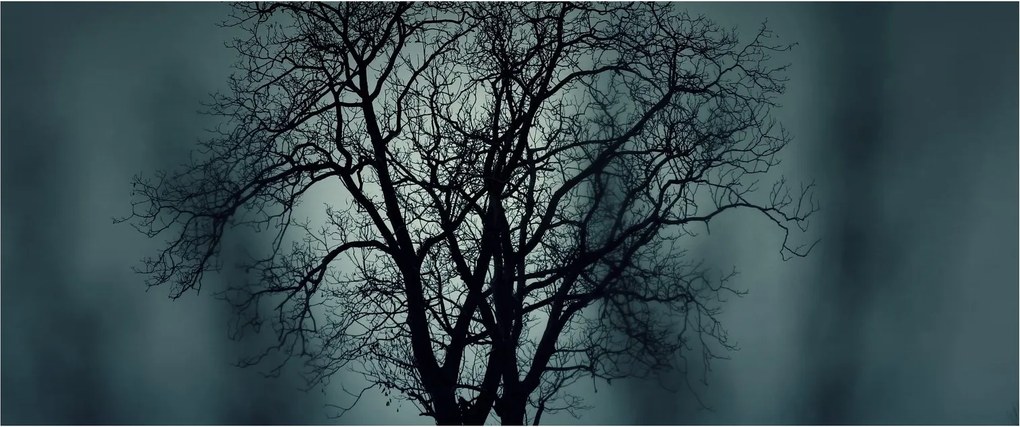 Tablou copaci în eclipsă (120x50 cm)