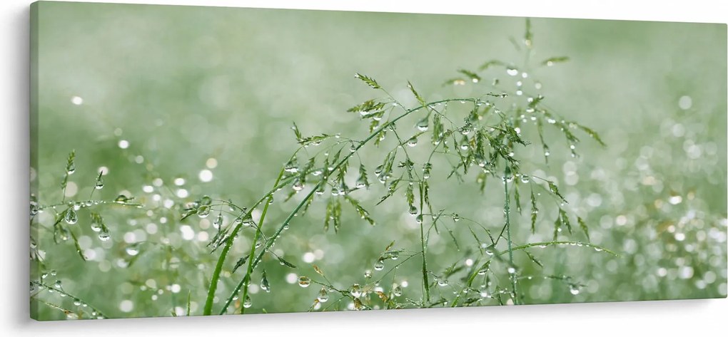 Tablou - Trandafir în iarbâ (120x50 cm)