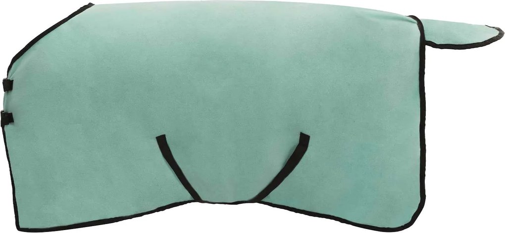 vidaXL Pătură pentru cai Verde special Poliester