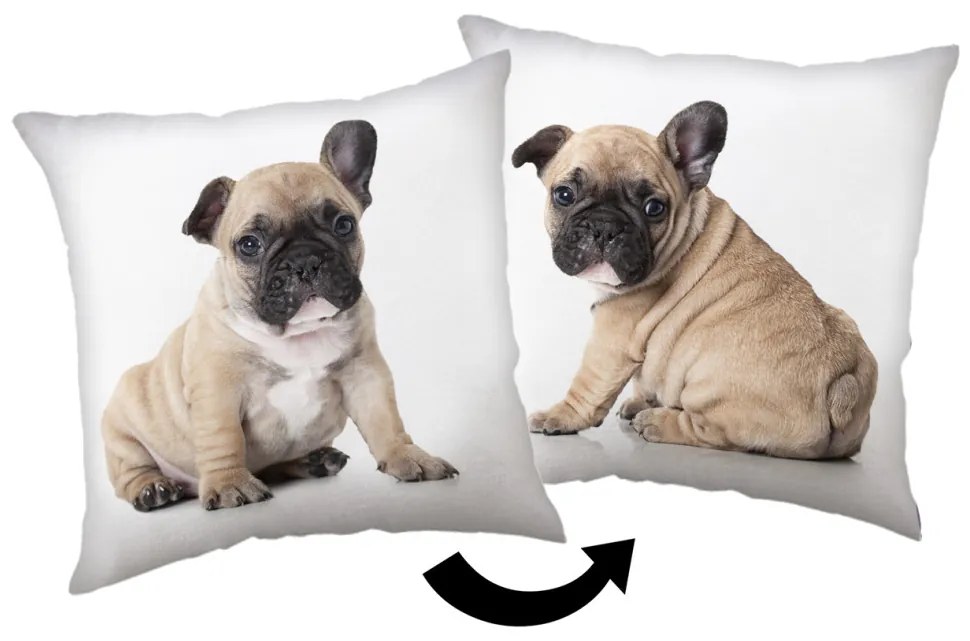 Câine Bulldog pernă decorativă 40x40 cm