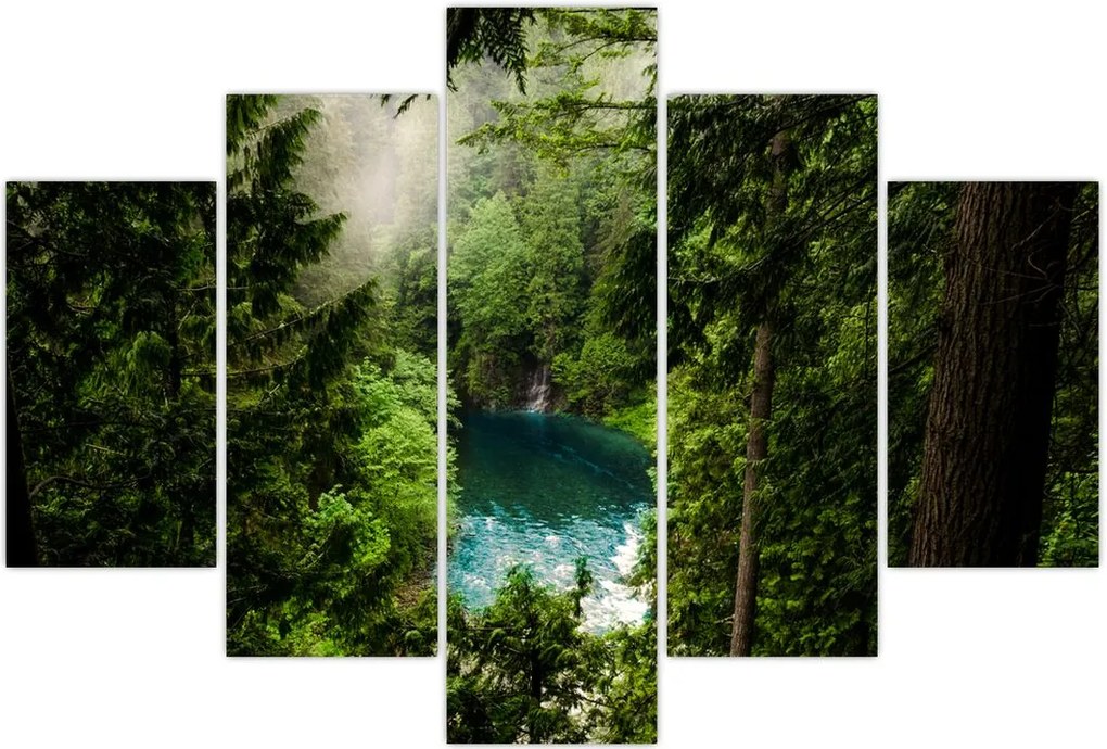 Tablou - Fereastra între copaci (150x105 cm)