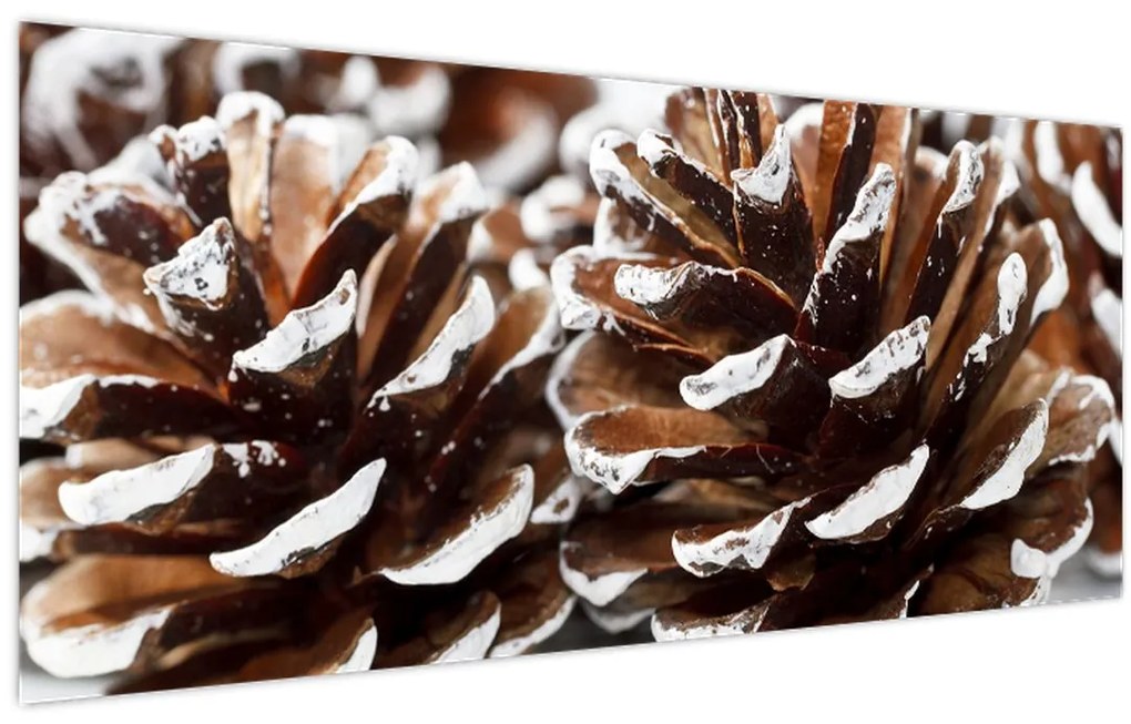 Tablou - Gogoși (120x50 cm)