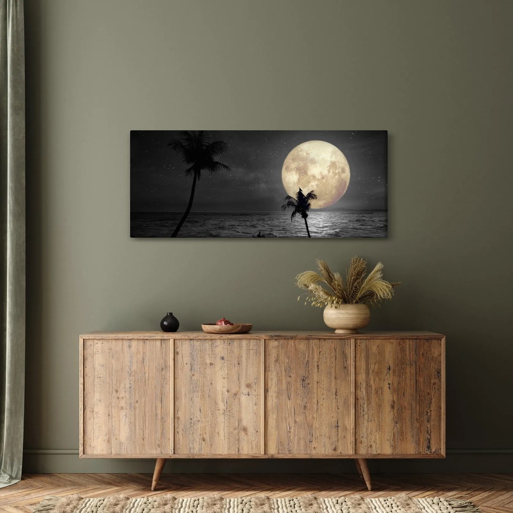 Tablou - Plaja cu lună plină, nuanțe gri (120x50 cm)