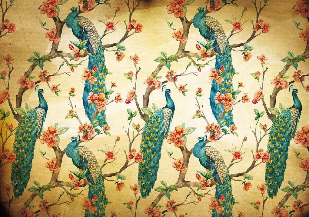 Fototapet - Păun (254x184 cm)