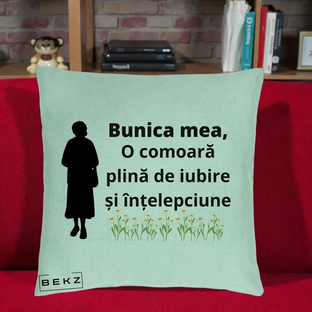 Cadou pentru Bunica - Perna Personalizata Bunica Mea Comoara Iubire Intelepciune Silueta cu Nepoata, 40x40 cm, Verde Menta, Husa Detasabila, Perna Inclusa, BEKZ®