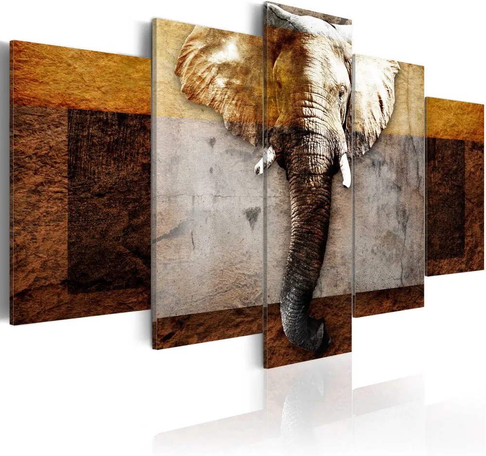 Tablou Bimago - Strength of Africa 100x50 cm
