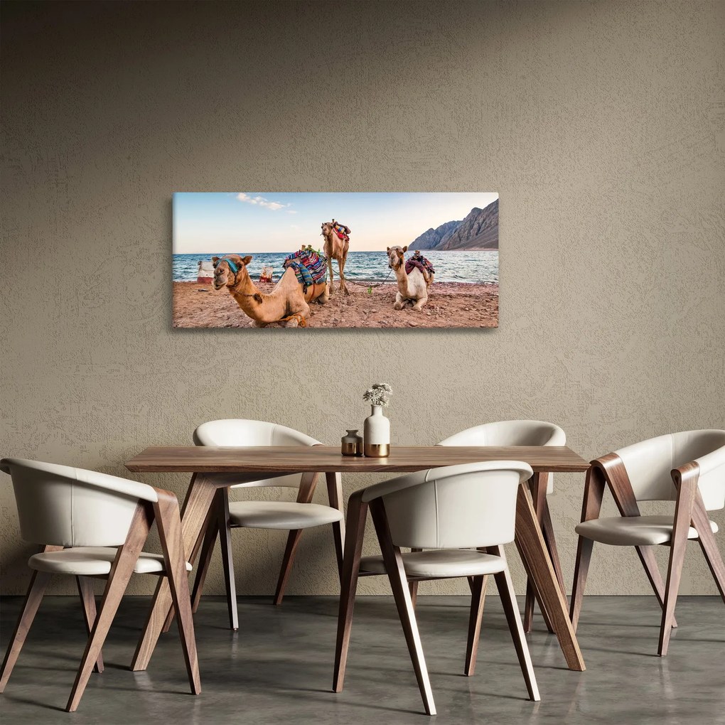 Tablou cu cămile (120x50 cm)