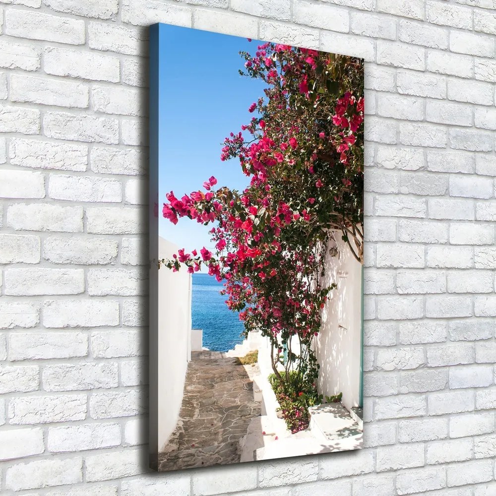 Print pe canvas Străzile grecești