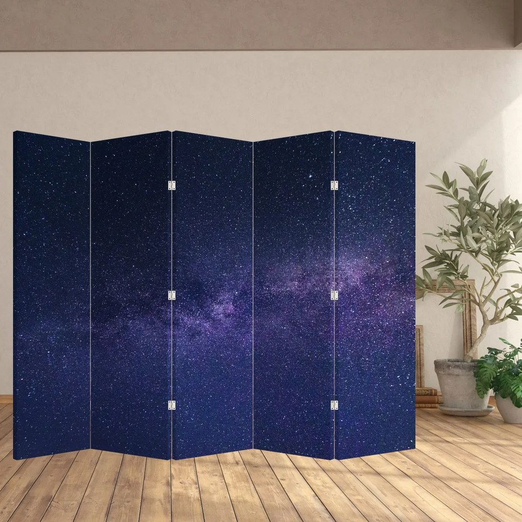 Paravan - Cerul nocturn (210x170 cm)