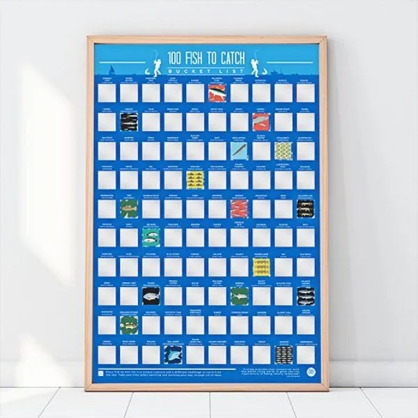 Poster - 100 de pești de prins