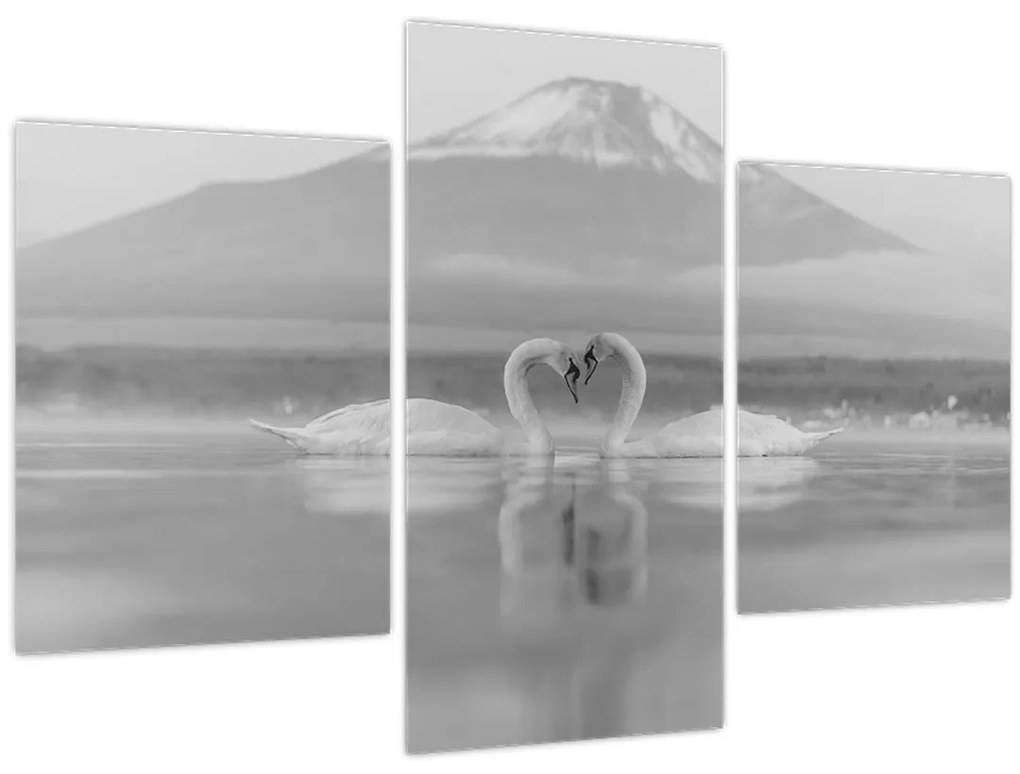 Tablou - Lebede îndrăgostite (90x60 cm)