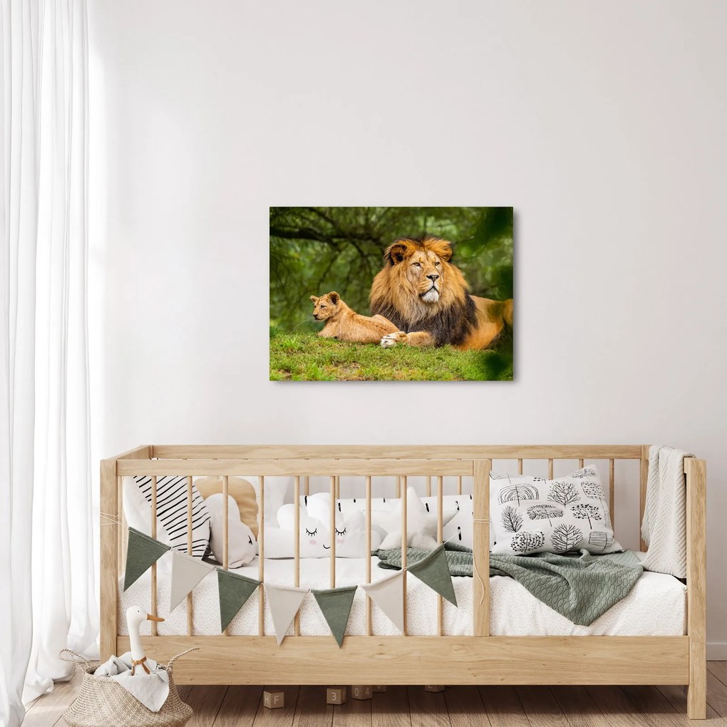 Tablou cu lei (70x50 cm)