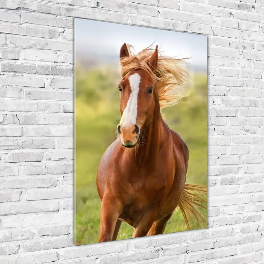 Imagine de sticlă Un cal în galop