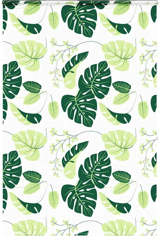 vidaXL Jaluză cu role de duș cu casetă 160x240cm lățime material 156cm