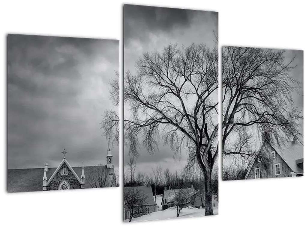 Tablou cu sat alb negru (90x60 cm)