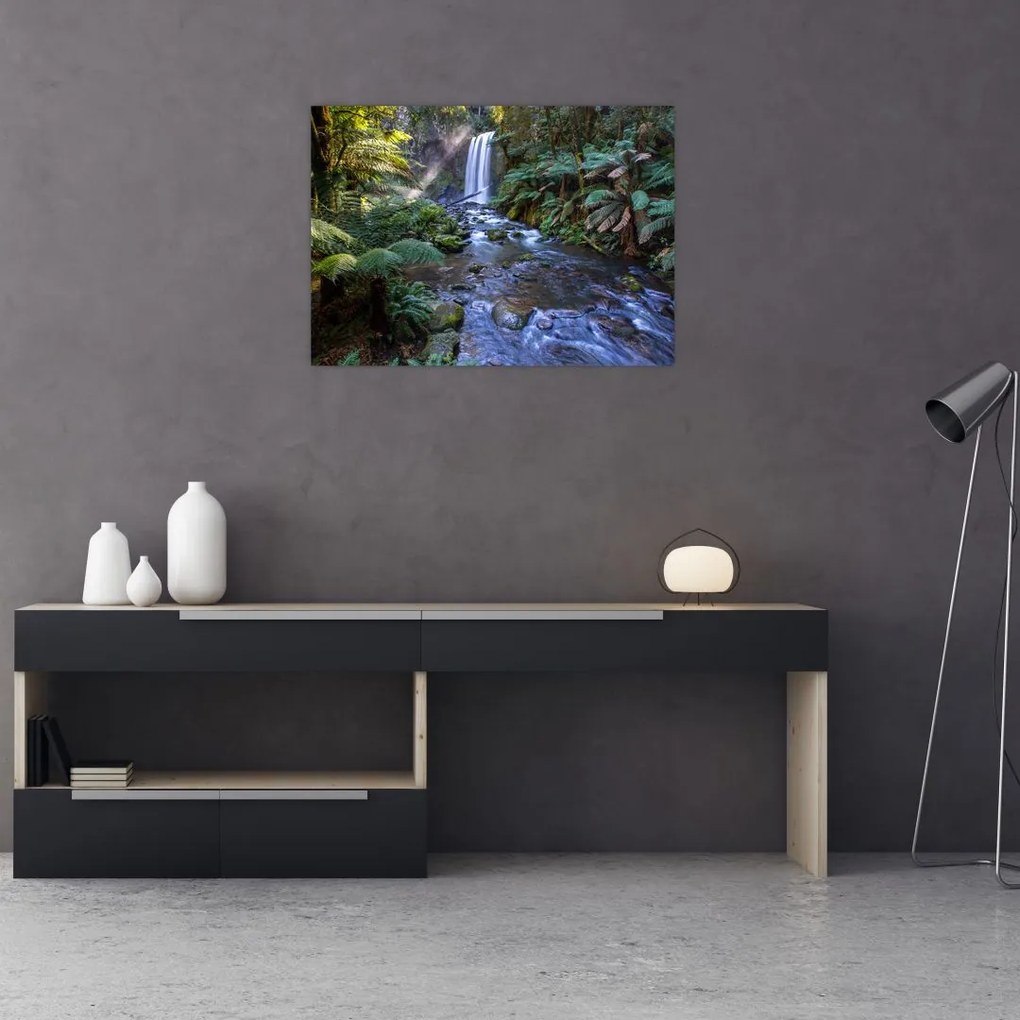 Tablou pe sticlă cu pădurea ploilor din Austalia (70x50 cm)