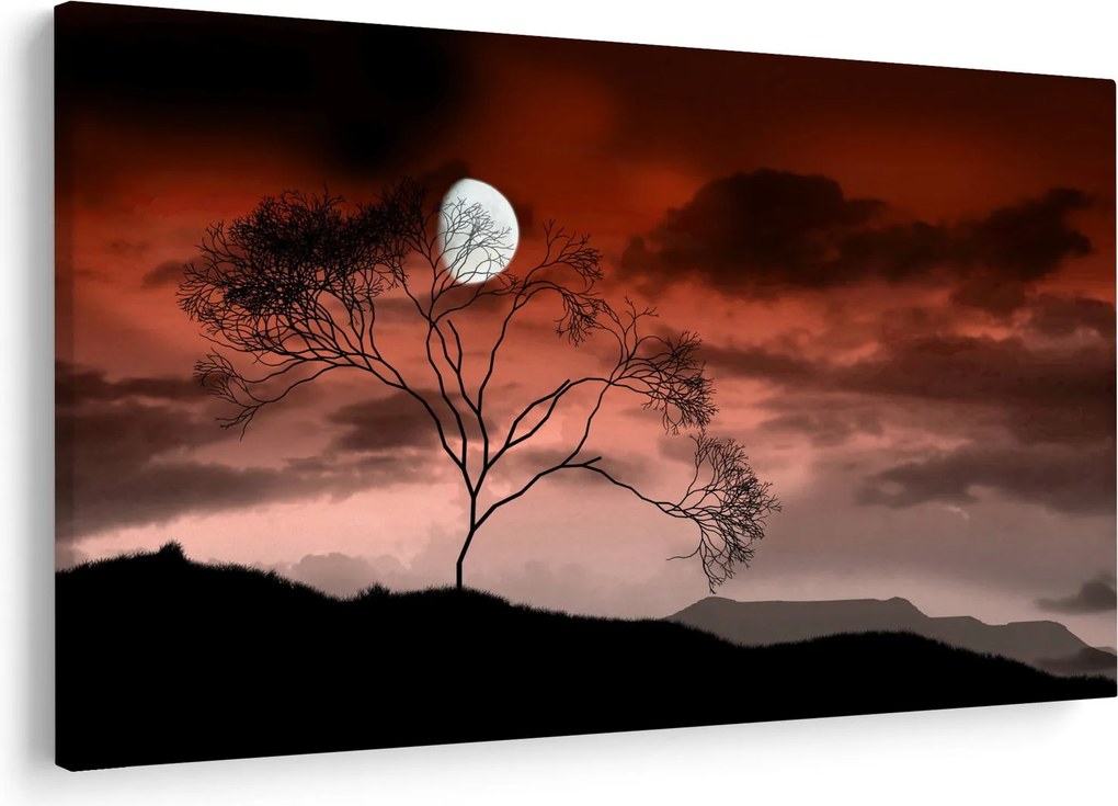 Tablou - Luna luminează noaptea (90x60 cm)
