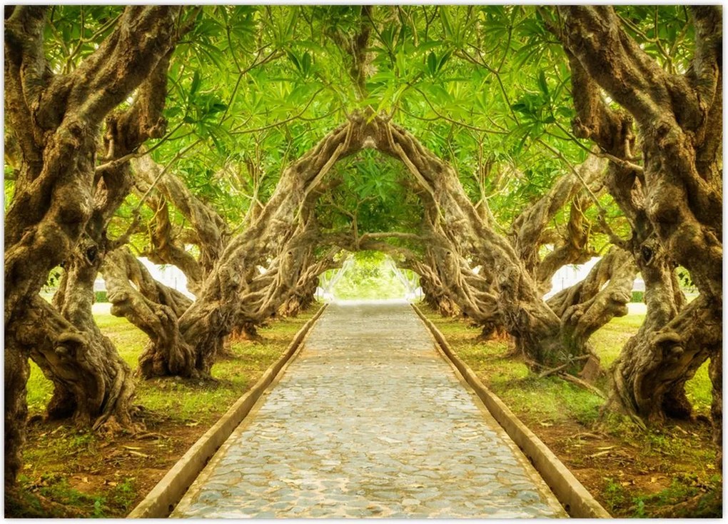 Tablou - Tunel viu din plumeria (70x50 cm)