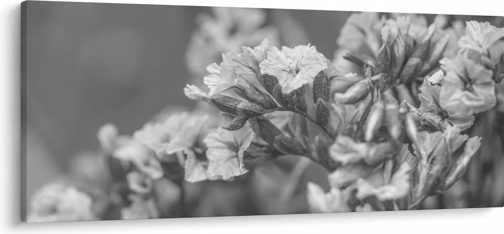 Tablou - Flori uscate (120x50 cm)