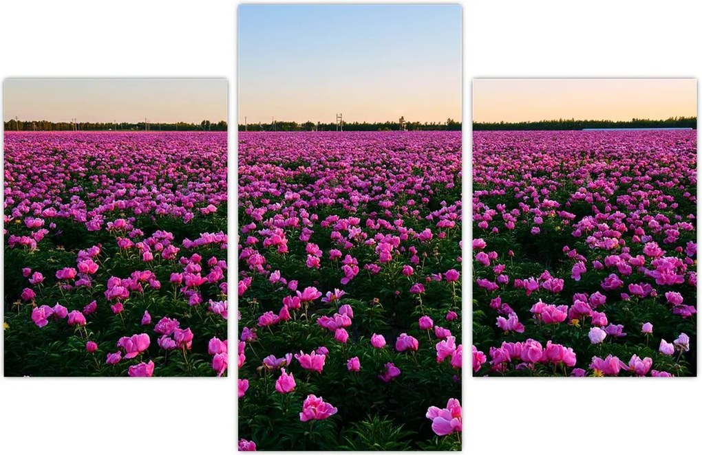 Tablou - Pajiștea cu lalele violet (90x60 cm)