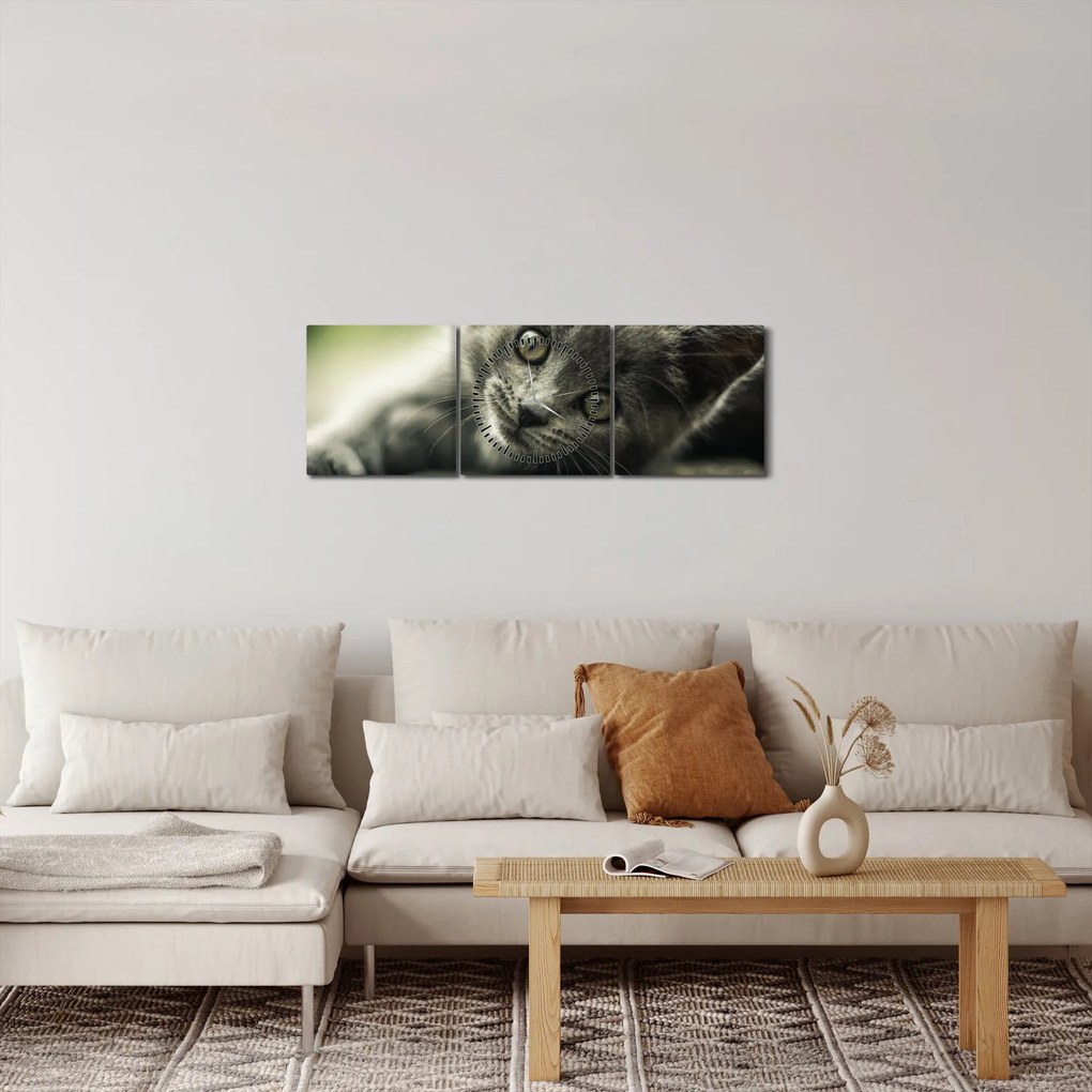 Tablou cu pisicuța (cu ceas) (90x30 cm)