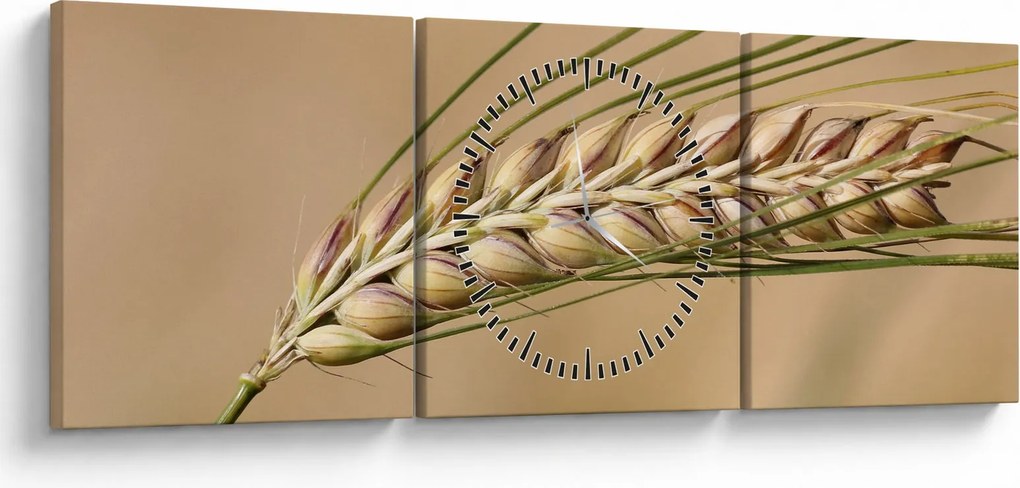 Tablou - Grâu (cu ceas) (90x30 cm)