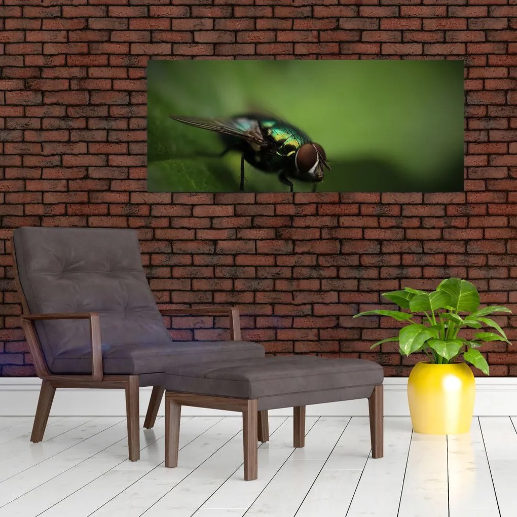 Tablou - Musca (120x50 cm)
