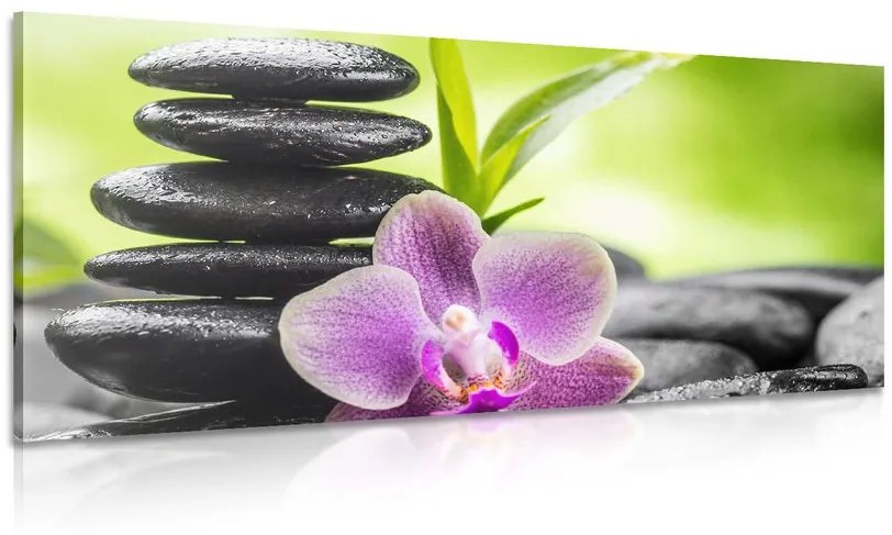 Tablou compoziție Zen tropicală