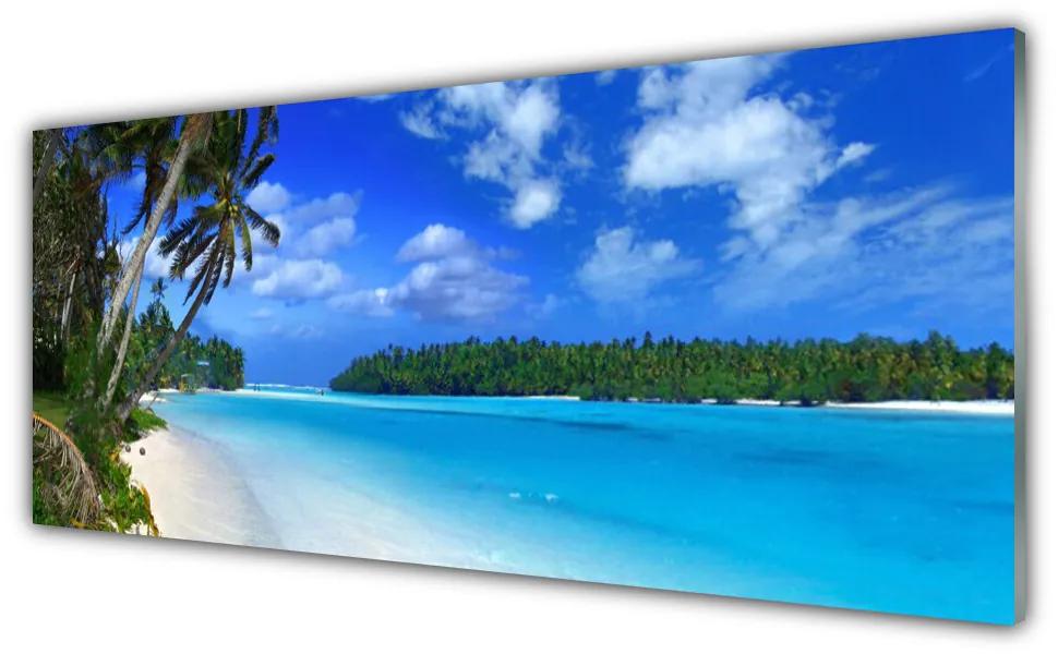 Tablou pe sticla Plaja Palms South Sea Peisaj Albastru Verde