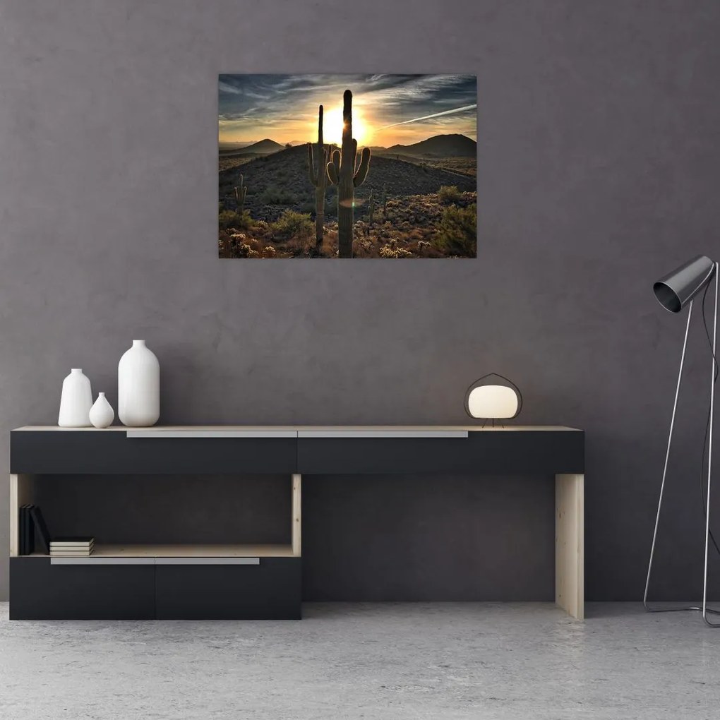Tablou pe sticlă - cactușii la soare (70x50 cm)