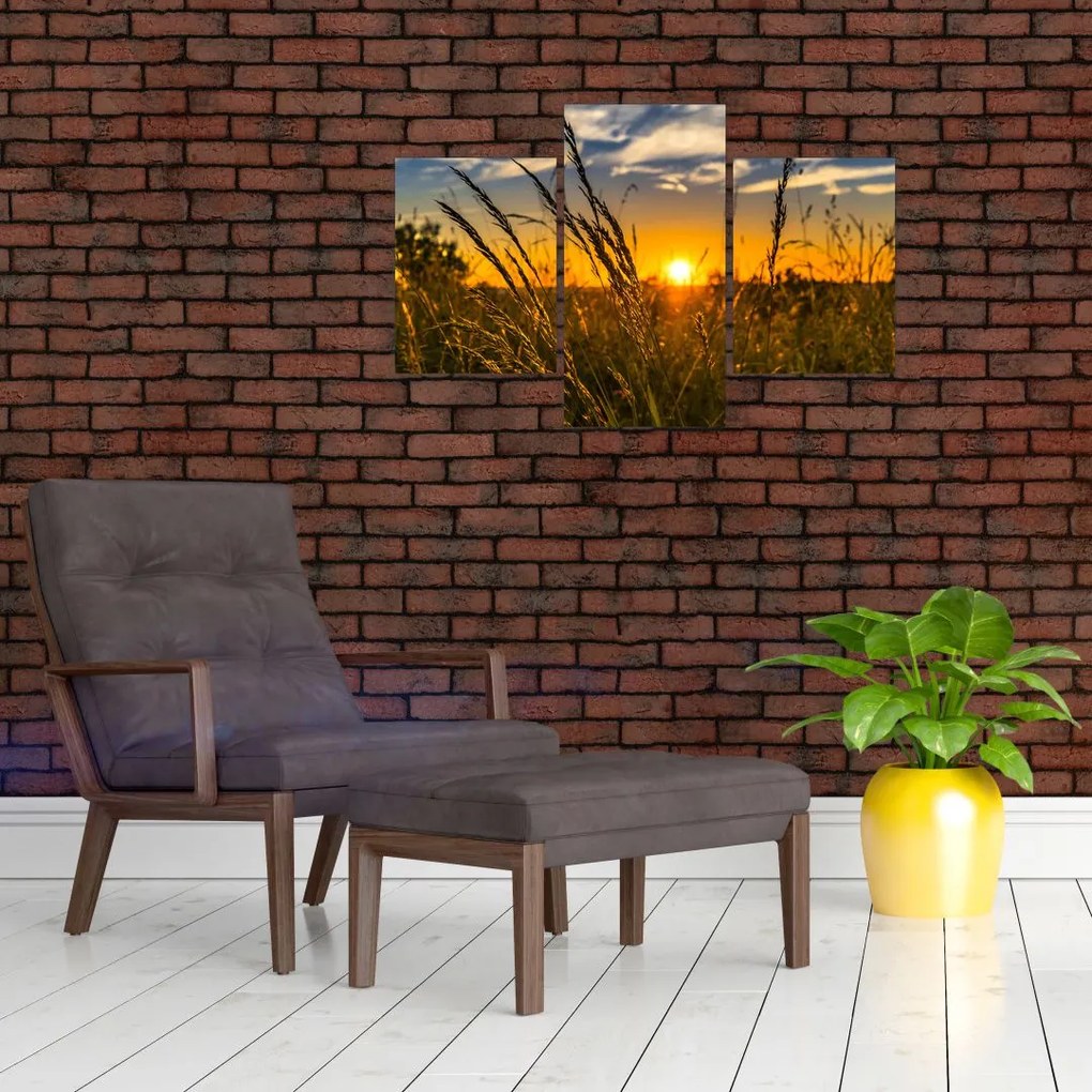 Tablou cu câmp în apus de soare (90x60 cm)