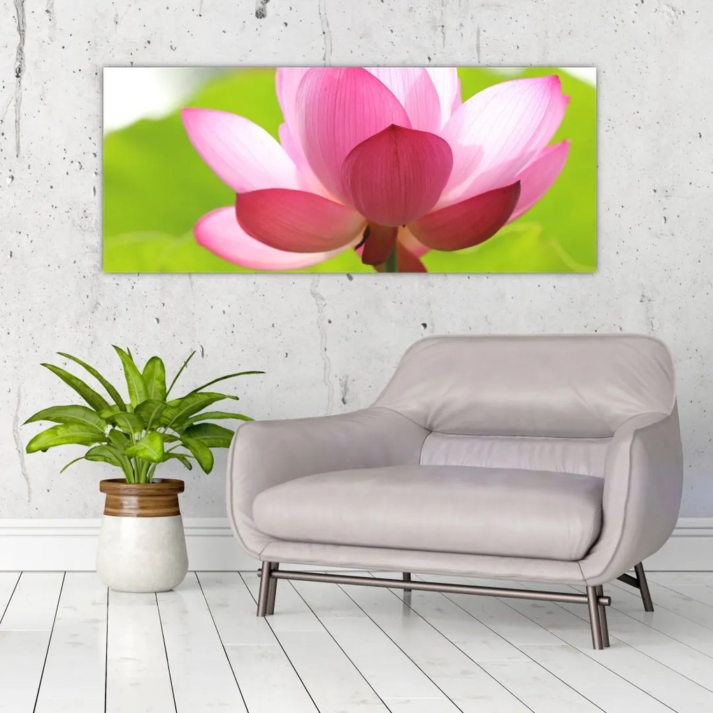 Tablou cu flori de lotus (120x50 cm)