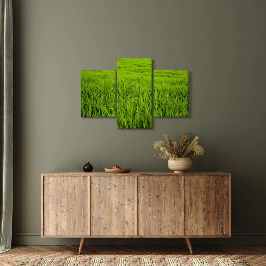 Tablou cu iaraba (90x60 cm)